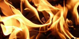 Co najszybciej spala tłuszcz w organizmie?