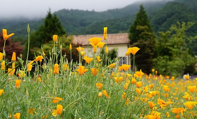 Czy koncentrator tlenu jest refundowany przez NFZ?