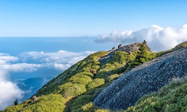 Jaka jest różnica między dezynfekcja a sterylizacja?