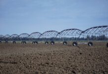 Czy warto mieć irygator?