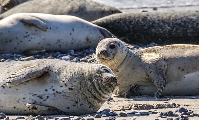 Czy o 17 można się opalić?