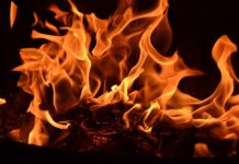 Jakie zioła na stany zapalne dziąseł?